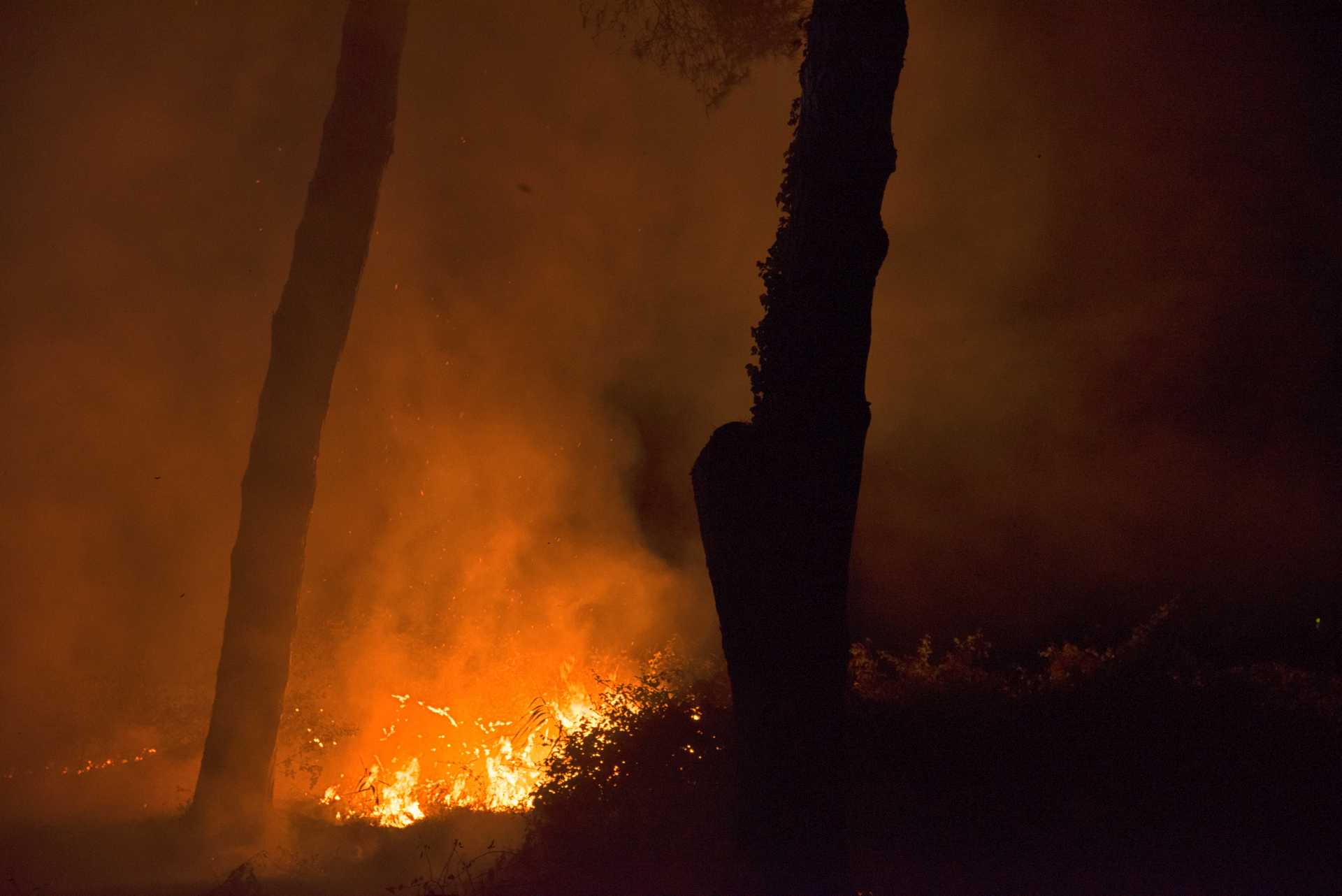 Incendio nella pineta delle Acque Rosse